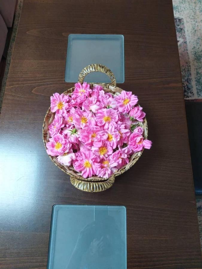 Вила В С. Габарево, Долината На Розите. Gabarevo Bagian luar foto